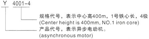 西安泰富西玛Y系列(H355-1000)高压YKS5601-10/710KW三相异步电机型号说明