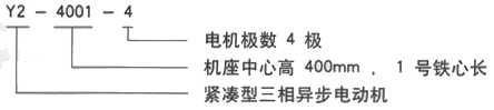 YR系列(H355-1000)高压YKS5601-10/710KW三相异步电机西安西玛电机型号说明